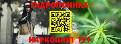 прущие крисы Будённовск