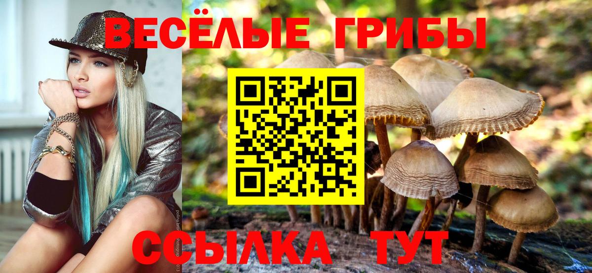 Нерюнгри  Галлюциногенные грибы Magic Shrooms  Вход с VPN 